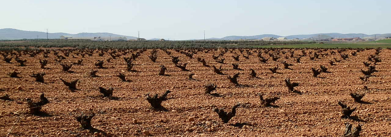 Finca rústica referencia 462