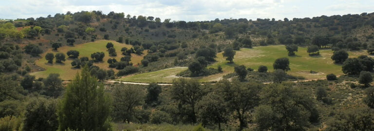 FINCA EN VENTA 475 HAS. CAZA MENOR Y MAYOR-CASERÍO EN ALBACETE