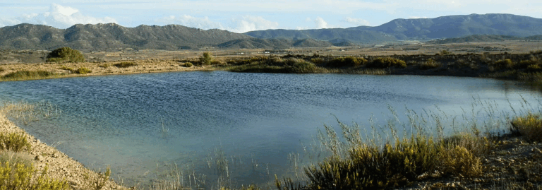 FINCA DE 82 HA CON VIÑEDO Y LABOR EN YECLA (MURCIA)
