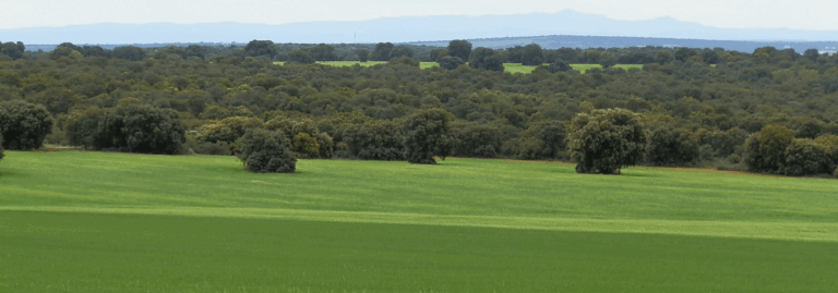 FINCA EN VENTA 760 HAS. LABOR-CAZA MENOR EN ALBACETE
