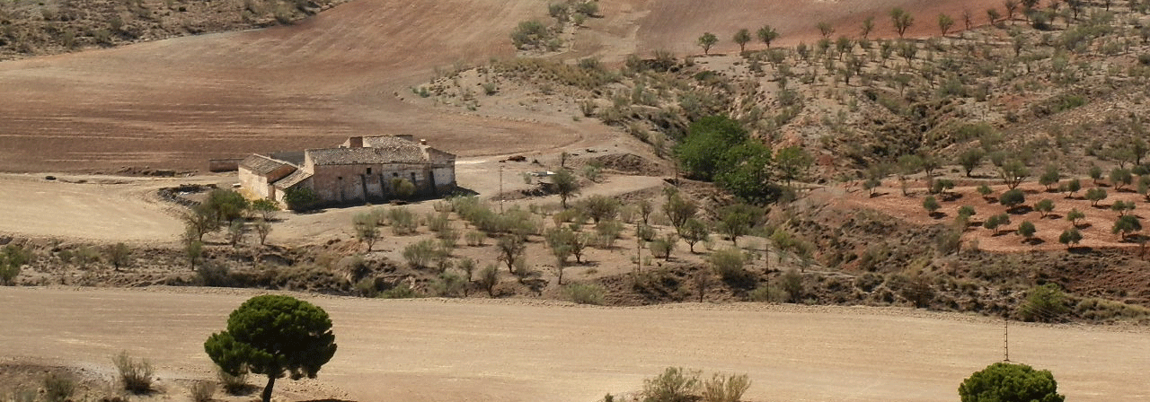 FINCA EN VENTA 250 HAS. LABOR-OLIVAR-MONTE EN JAEN