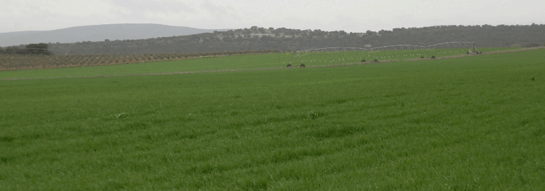 FINCA EN VENTA 28 HAS. LABOR REGADÍO EN CIUDAD REAL