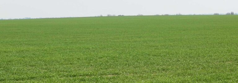 FINCA EN VENTA 315 HAS. LABOR SECANO-CAZA EN ALCAZAR DE SAN JUAN