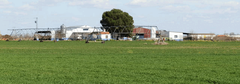 FINCA EN VENTA 52 HAS. LABOR RIEGO QUESERIA EN MANZANARES