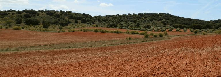 FINCA EN VENTA 526 HAS. LABOR MONTE CAZA EN CIUDAD REAL