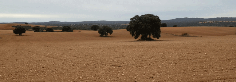 FINCA EN VENTA DE 388 HA CON LABOR, MONTE Y CAZA EN ALBACETE