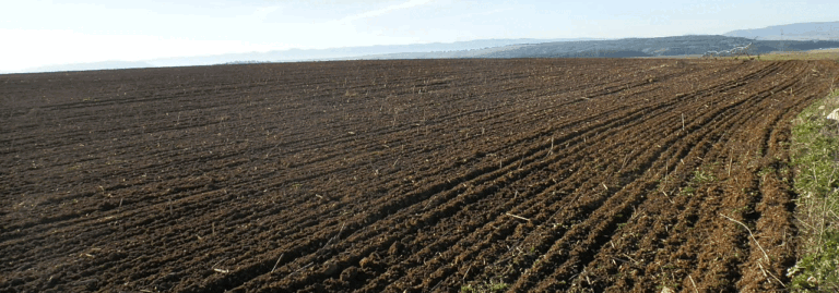 FINCA EN VENTA DE 180 HA CON REGADÍO Y PISTACHOS EN CUENCA