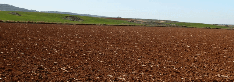 FINCA EN VENTA DE 77 HA CON VIÑEDO, ALMENDROS Y LABOR EN CUENCA