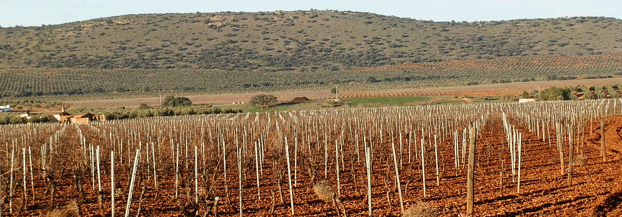 Finca rústica referencia 623
