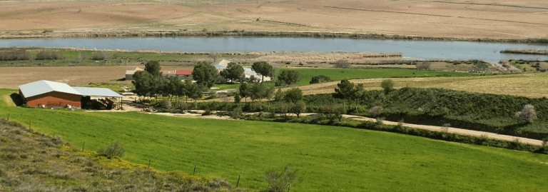 FINCA EN VENTA DE 98 HA CON LABOR Y PASTOS EN TOLEDO