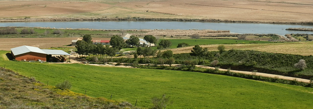 Finca rústica referencia 631