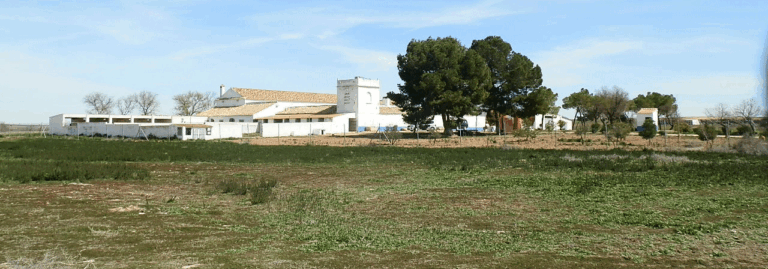 FINCA EN VENTA 545 HAS. LABOR RIEGO SECANO PASTOS CAZA MENOR EN TOLEDO