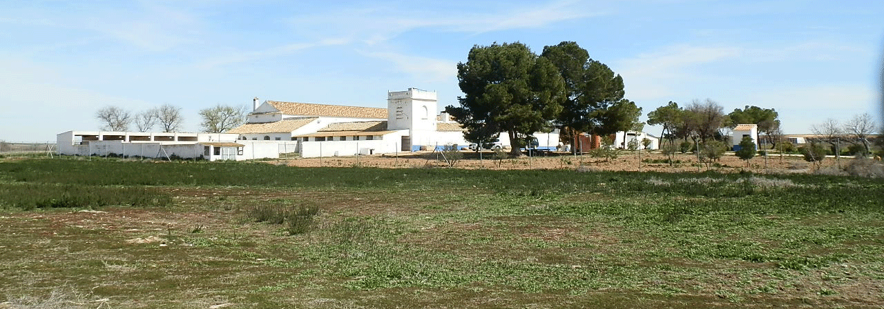 Finca rústica referencia 633