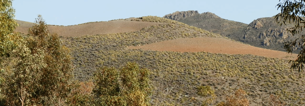 FINCA EN VENTA 500 HAS. CAZA MENOR EN ALMERIA