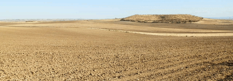 FINCA EN VENTA 36 HAS. LABOR SECANO EN TOLEDO