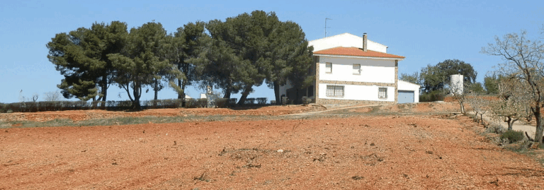 FINCA EN VENTA 46 HAS. OLIVAR LABOR RIEGO EN VALDEPEÑAS