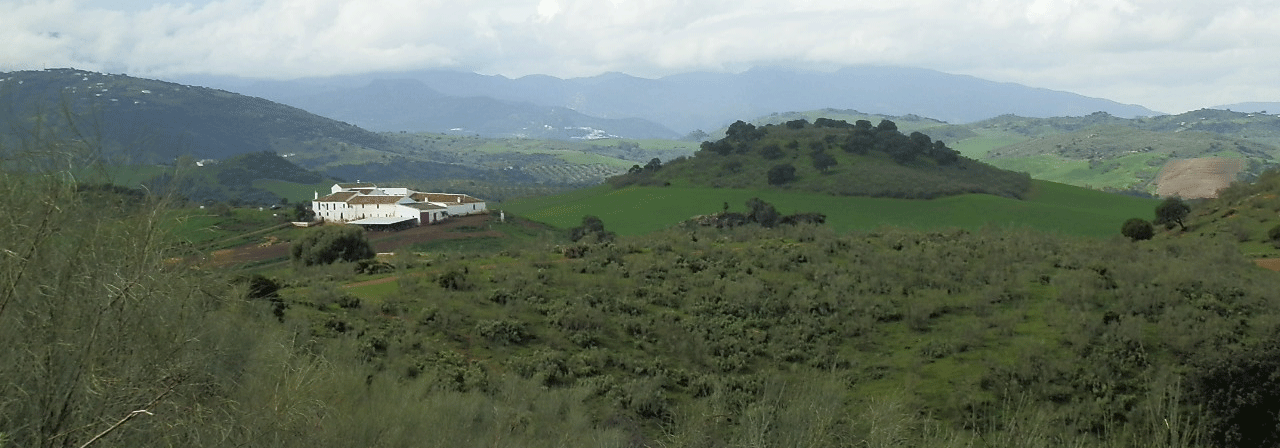 FINCA EN VENTA 380 HAS. LABOR GANADERA EN CADIZ