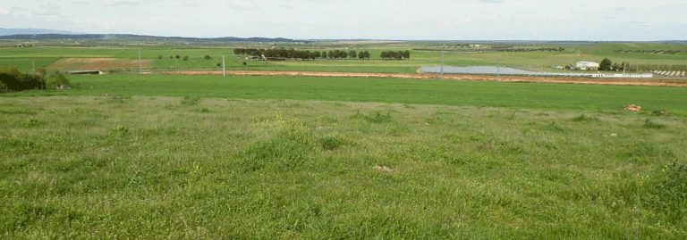 FINCA EN VENTA 10 HAS. LABOR PASTOS JUNTO A CIUDAD REAL