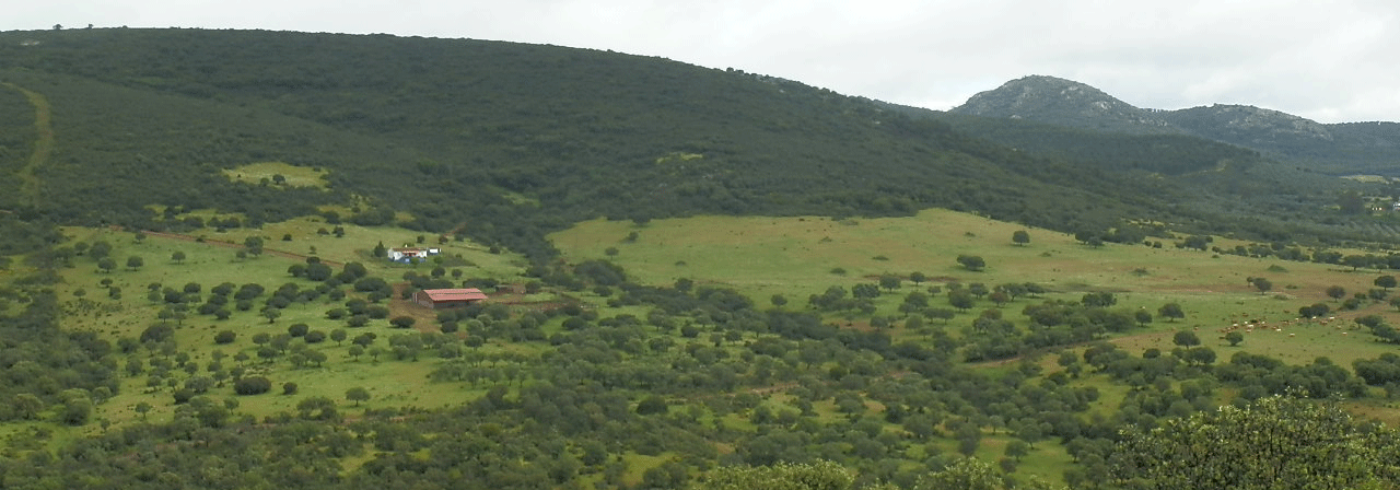 Finca rústica referencia 663