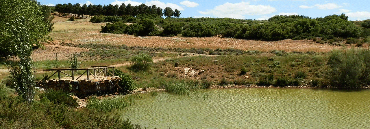 Finca rústica referencia 669