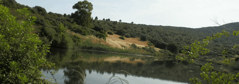 FINCA EN VENTA 570 HAS. CAZA MAYOR JUNTO A CIUDAD REAL