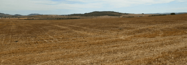 FINCA EN VENTA 220 HAS. LABOR-RIEGO-SECANO-MONTE EN ALBACETE