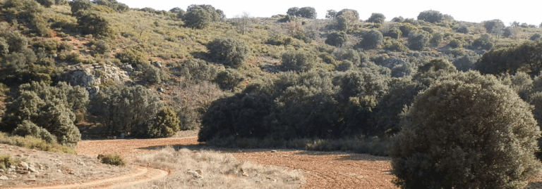 FINCA EN VENTA 281 HAS. CAZA MENOR EN CIUDAD REAL