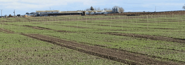 Oportunidad: finca agrícola-ganadera de 150 ha con río, pozo y balsa natural en Cuenca
