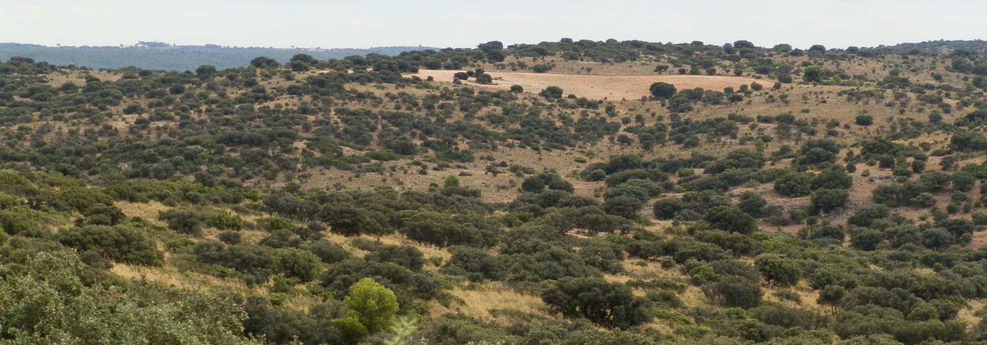 Finca 688 · 688_portada