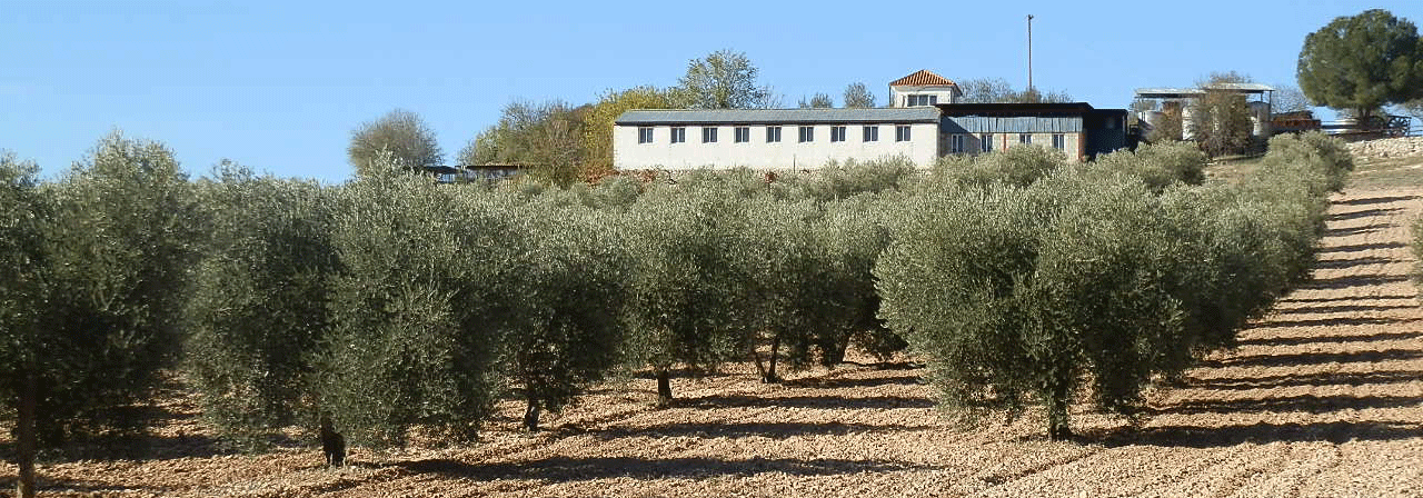 Finca rústica referencia 690