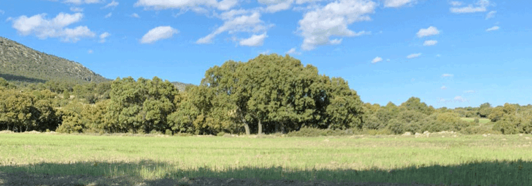 FINCA CINEGÉTICA DE 460 HA CERCA DE CARAVACA DE LA CRUZ (MURCIA)
