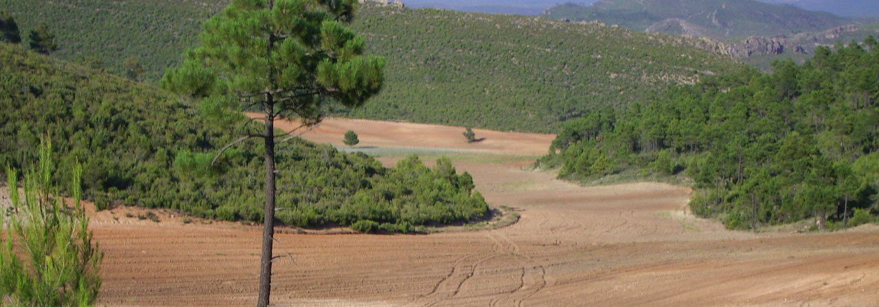 FINCA EN VENTA 2.066 HAS. CINEGETICA GANADERA EN CUENCA