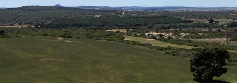 Finca rústica de 544 ha con viñedo, labor y caza en Albacete