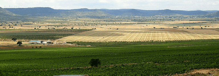 FINCA EN VENTA 166 HAS. LABOR VIÑA REGADÍO EN ALBACETE